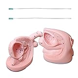 Urinary Catheterization Model Male and Female