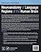 Neuroanatomy of Language Regions of the Human Brain