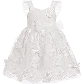 Toddler Baby Girl Butterfly Dress Princess Embroidered Flutter Sleeve Pageant Wedding Birthday Tulle Tutu Dress