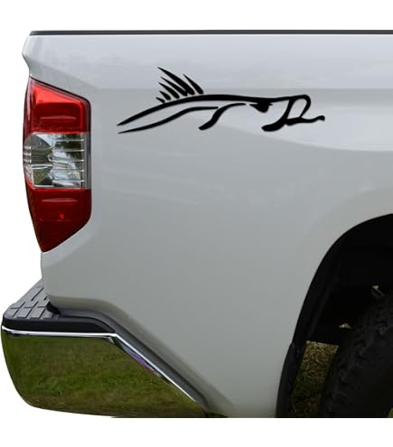 Snook Car Decal