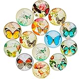JIUZHU 14 Pieces Butterfly Patterns Glass Refrigerator Magnets Fridge Magnets Sets for Home Office Map Photo Cabinets Whiteboards Decorative