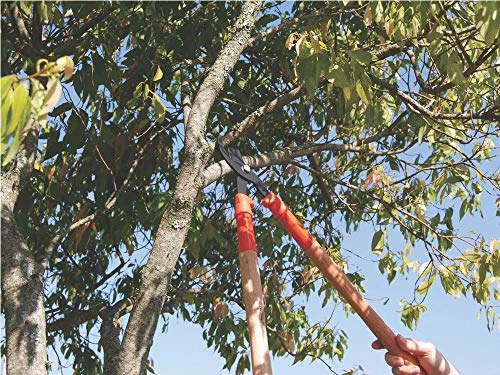 Tramontina Bypass Astschere mit Holzgriffen, Carbonstahl, braun – Bild 4