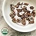 Lark Ellen Farm Grain Free Paleo Granola Bites Delicious Gluten Free Certified Organic (Vanilla Cinnamon) (16 oz)