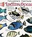 Indian Ocean: Fishwatchers Fish Guide for Maldives, Seychelles, Kenya