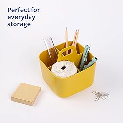 BLUE GINKGO Multipurpose Caddy Organizer
