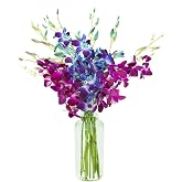 KaBloom-10 Blue&amp;Purple Orchid Bouquet,Flowers for Valentine, Mother's Day