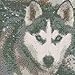 DIY 5D Diamond Painting by Number Kits, Full Drill Crystal Rhinestone Embroidery Pictures Arts Craft for Home Wall Decor Gift,Husky