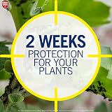 Provanto Ultimate Bug Killer 1L Fast Acting Insecticide for Plants view 6