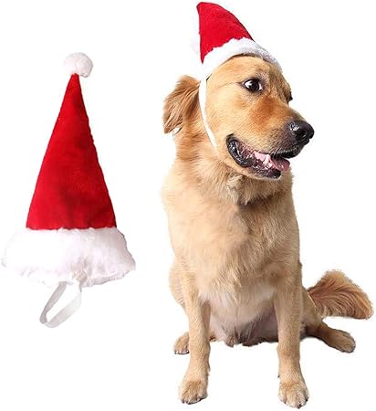 amazon dog christmas