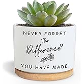 Funny Succulent Planters for Indoor Plants, Coworker Thank You Gifts, Farewell Going Away Appreciation Inspirational 3.5 inch Ceramic Cactus Planter Pots for Women Men Friend Boss Lady (No Plants)
