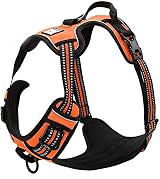 Truelove TLH5651 Dog Harness No-Pull Reflective Stitching Orange Large