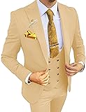 Wangyue Mens Suits Slim Fit 3 Piece Suit for Men
