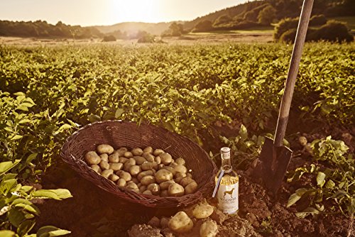 Windspiel Barrel Aged Potato Vodka 42 % vol. 1 x 0,5 Liter - Fassgelagerter Premium Manufaktur Vodka aus der deutschen… – Bild 4