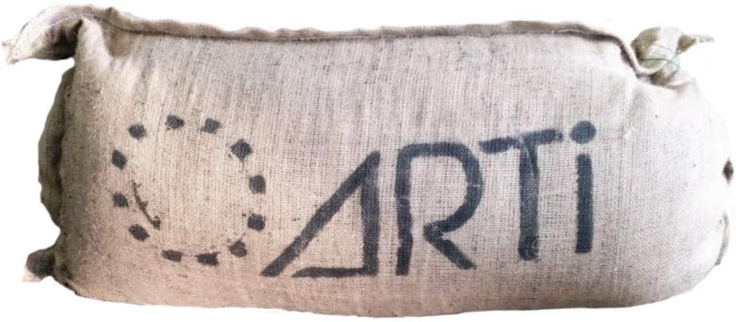 ARTi Biochar 20gal Biochar Carbon Rich Horticultural Charcoal Soil Amendment/Conditioner to Release Nutrients Slowly, Improve Soil Aeration, Enhance Roots, and Support Healthy Plant Growth