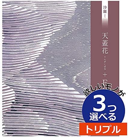 超格安一点 天蓋花 沙羅フード 大和 ３つもらえる Sar カタログギフト トリプルチョイス カタログギフト 出産 Revuemusicaleoicrm Org