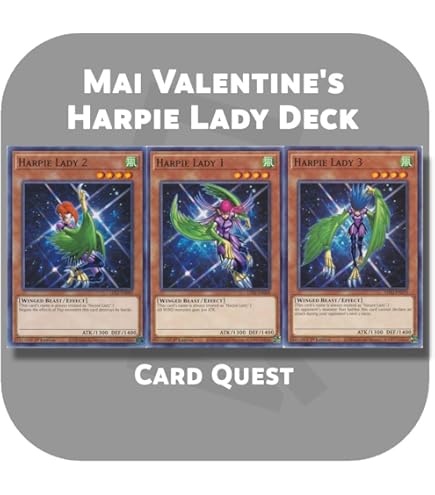 Amazon.com: Complete Custom Deck for Yu-Gi-Oh!