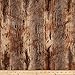Shannon Minky Luxe Cuddle Red Fox Amber/Taupe Fabric By The Yard