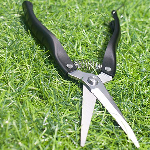 Pruning Shears Straight Tip Pruning Trimming Scissors Florist Scissors-Stainless Steel Ultra Sharp Multi-Purpose Hand Pruner Scissors for Garden Harvesting Fruits Vegetables, Trimming Flowers,Black
