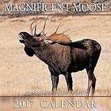 2017 Magnificent Moose Calendar - 12x12