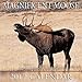 2017 Magnificent Moose Calendar - 12x12