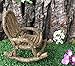 Wonky Hill Miniature Fairy Garden Starter Kit- Fairy Willow 3 Piece Accessory Garden Set