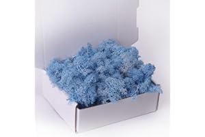 ACADOIT Preserved Moss-3.5 OZ Moss for Crafts Faux Moss Decor Natural Green Moss for Art Wall Florist Decor(Sky-Blue 3.5 OZ)