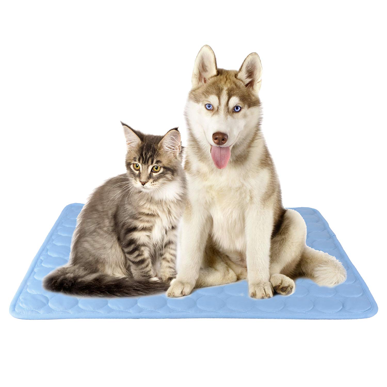 SAFLYSE Pet Mat Cooling Pad for Cats and Dogs Non-Toxic Blue (L)
