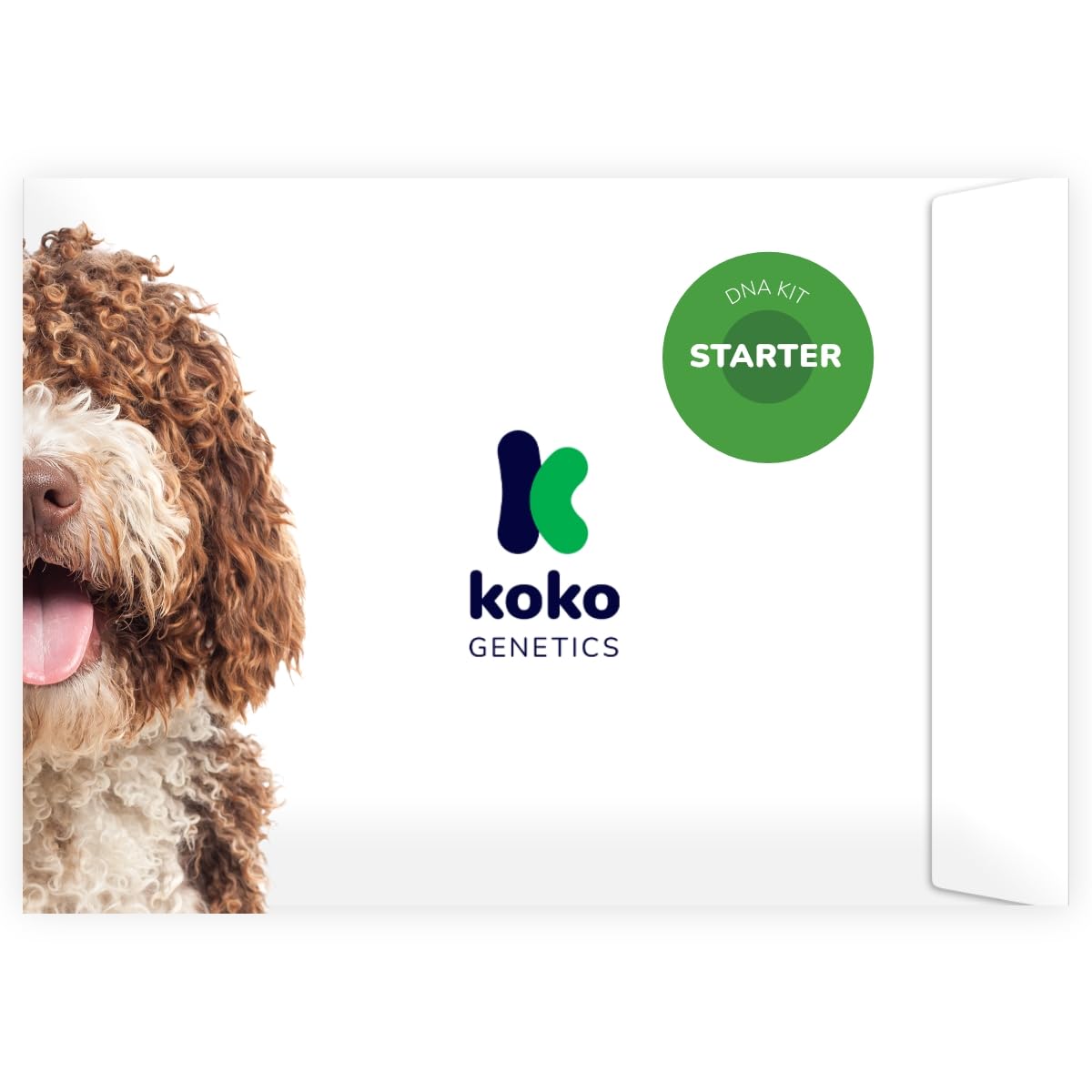 Koko Genetics - DNA Test for Dogs Starter (Breeds and Traits Reports) - Upgrades at no cost