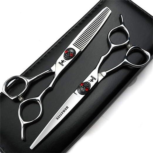 Ciseaux de Coiffure Professionnels, Haut de Gamme 6 Pouces Japon 440C