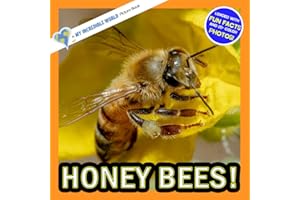 Honey Bees!: A My Incredible World Picture Book for Children