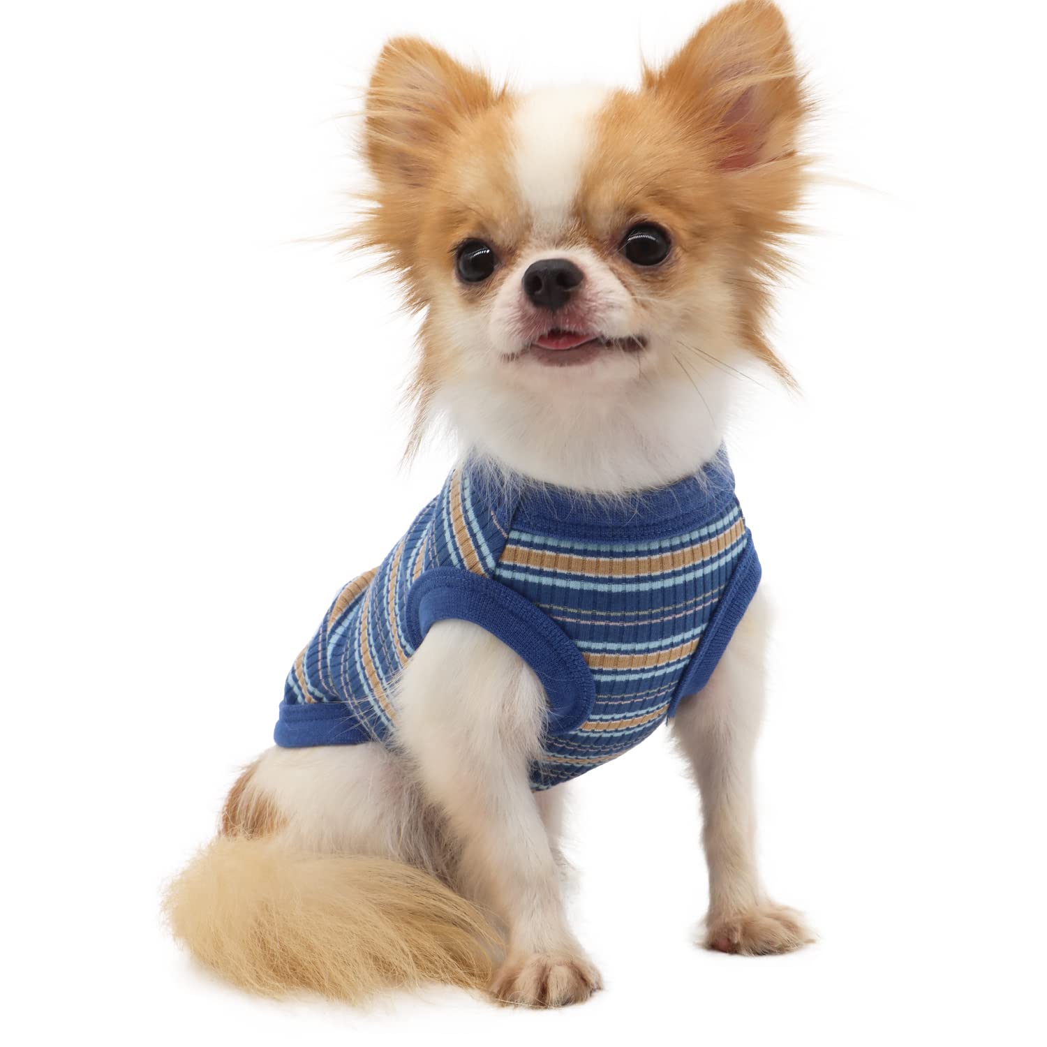 Photo 1 of LOPHIPETS 100% Cotton Rib Dog Shirt Vest for Small Dogs Chihuahua Puppy Clothes Tank Tee-Blue/M