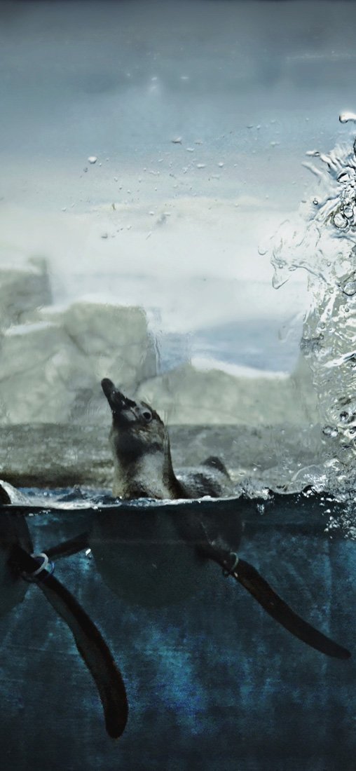 PeelitStickit Underwater, Undersea Wall Murals, ID-172, vinyl