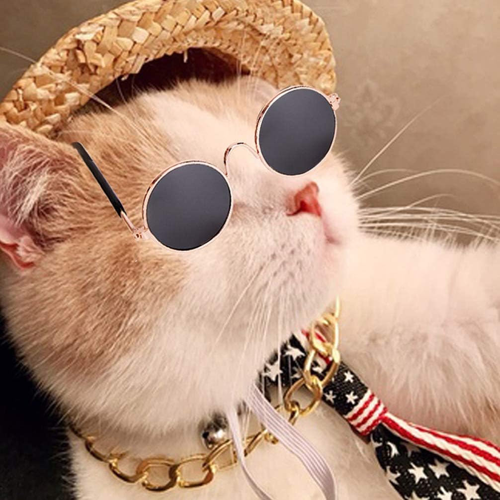 Balacoo 2 Stücke Lustige Hund Sonnenbrille und Goldkette Hundehalsband