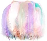 TYEQWT 400 Pcs Morandi Light Feathers for Crafts, Wedding Ornament, Mask view 1