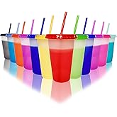 ZETEAKER 12pcs Color Changing Cups with Lids and Straws 16 oz Plastic Reusable Cups with Lids Color Changing Tumblers Cup Bulk Perfect for Cold Drink, Iced Coffee, Smoothie(10 Color)