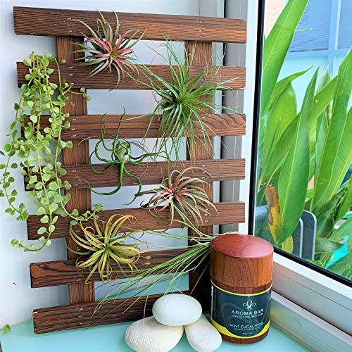 Hanging planters for Indoor Plants - Vertical Garden, Macrame Plant Hangers, Plant Stands Indoor & Outdoor, vsco Room Decor, Teen Girl Room Decor, decoracion para baños, decoracion para el hogar - Thumbnail 4