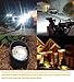 Taysing LED PAR36 Bulb 9W 900lm Eq to 60W Halogen 10-30V Waterproof IP68 Flood Light Bulbs Par36 Led Bulb For Landscape Well Light Off-Road Vehicles Tractor RV Vehicles (Soft White 1 Pack)