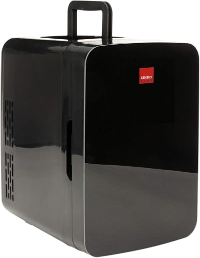 10L Mini Fridge Cooler Warmer AC DC UK EU Plug Portable