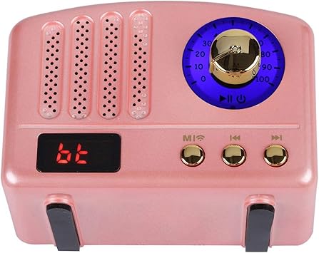 mi bluetooth speaker with fm radio