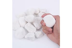 BIOTOLOT 2LB 2"-3" White Rocks for Plants, Garden Landscaping, Planters,Aquarium,Vase fillers, Indoor & Outdoor Decor