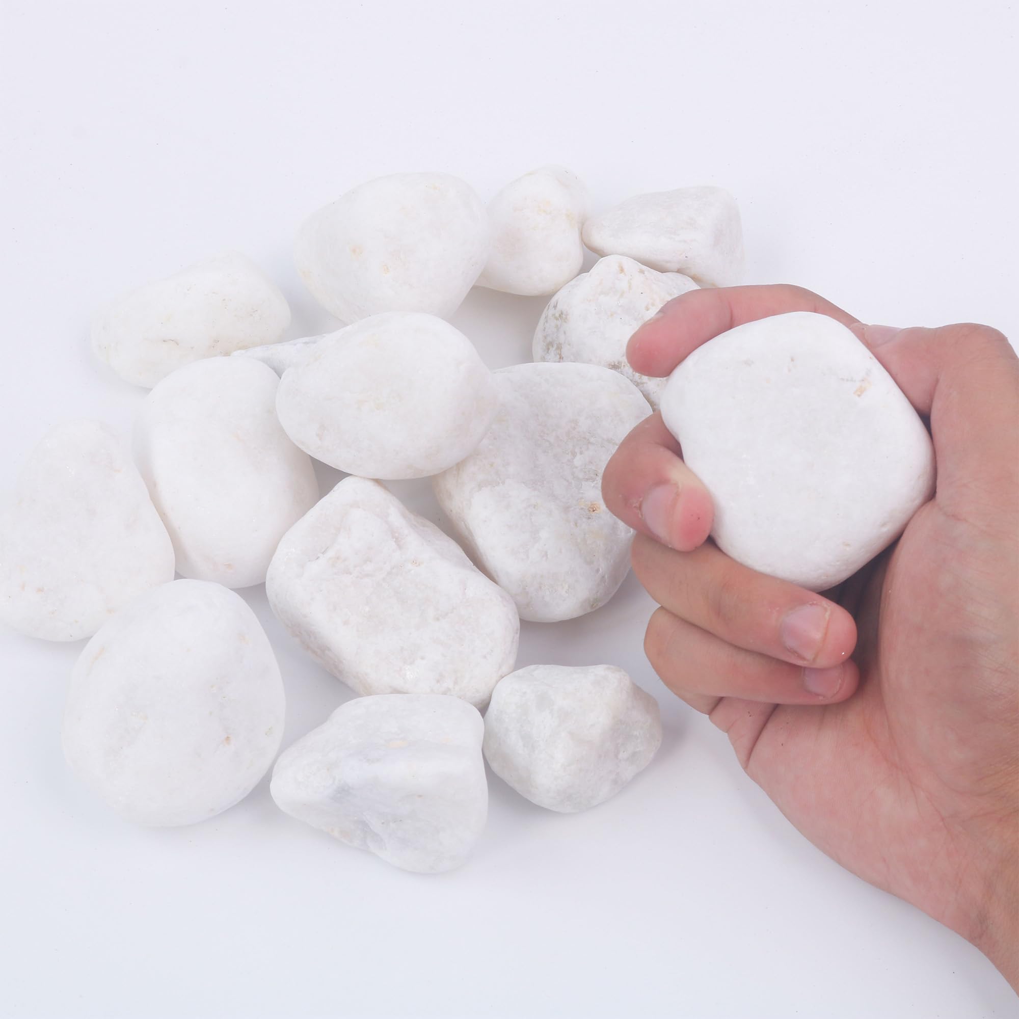 Photo 1 of 2LB 1"-2" White River Rocks for Plants, Polished Pebbles for Garden Landscaping, Planters, Aquariums, Vase Fillers – Indoor & Outdoor Decor
