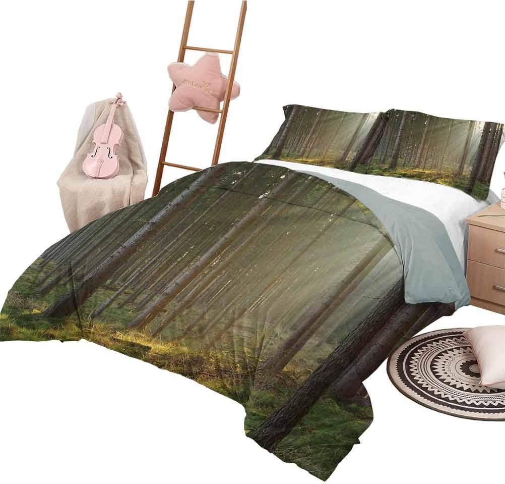 Bedding Duvet Cover Set Forest,Sunbeams Comes into Natural Misty Spruce Forest from The Right Top Picture Print,Tan and Brown Decorative 3 Piece Bedding Set 79 x 90 inch