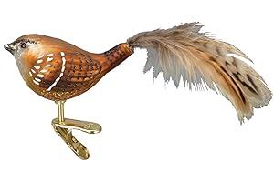 Old World Christmas Ornaments: Bird Watcher Collection Glass Blown Ornaments for Christmas Tree, Wren