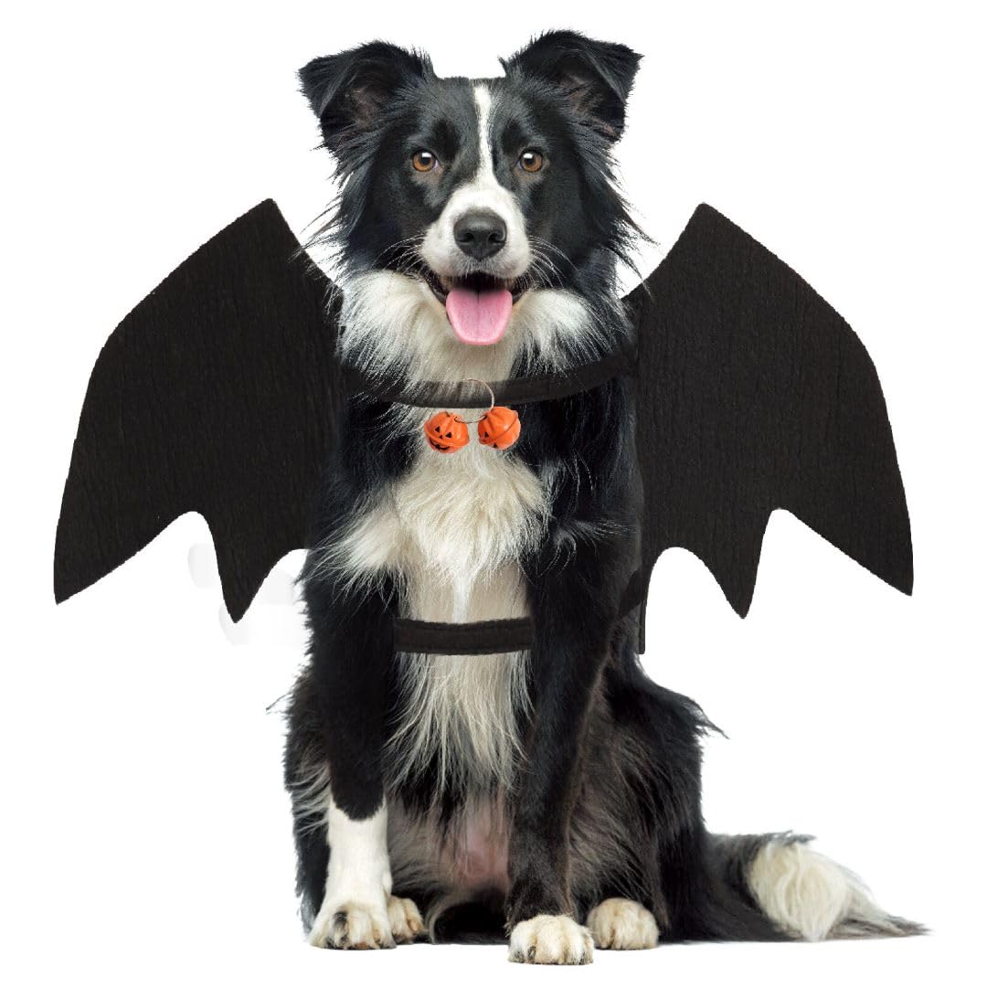 M Bat Dog Costume: Wings with Pumpkin Bell, Halloween Outfit for Small, Med, Large Dogs & Cats