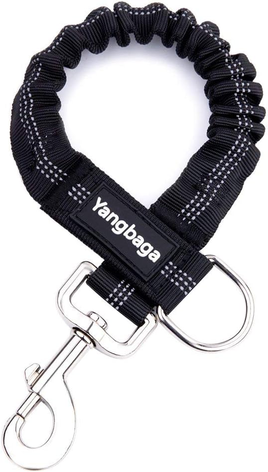 shock absorbing leash attachment