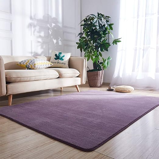 SKRCOOL Súper Suave Shaggy Alfombra para Sala De Estar,Fácil De Limpiar