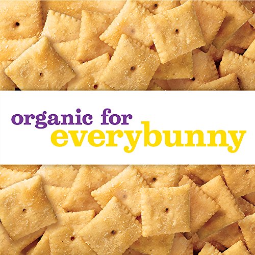 Annie's Organic White Cheddar Squares - Image 6