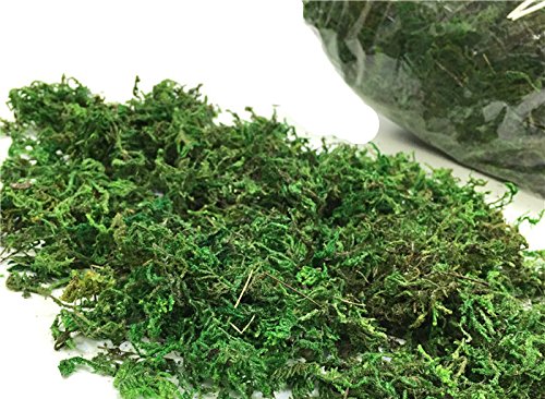 Yalulu 100g/bag Imitation Silk Flower Green Moss Plants Vase Turf Accessories for Wedding Flower Pot Decoration