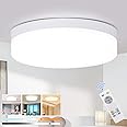 DLLT 24W Dimmable LED Flush Mount Light Fixture With Remote, 8.66 Inch Modern Flat Lamp, Close to Ceiling for Bedroom/Kitchen/Bathroom/Hallway, Timing, 3 Light Color Changeable