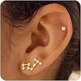 Fissen Jewelry Gold Studs Earrings For Women 14k Gold Plated Constellation Zodiac Earrings Sets For Women Trendy Hypoallergenic CZ Cartilage Earring Stack Small Piercing Earring Studs Fashion Jewelry